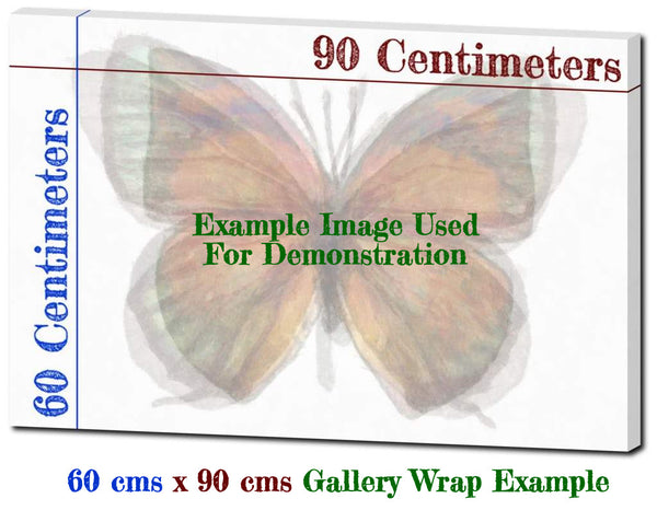 Butterfly Linen Canvas HD Print - Orange Staff Sergeant