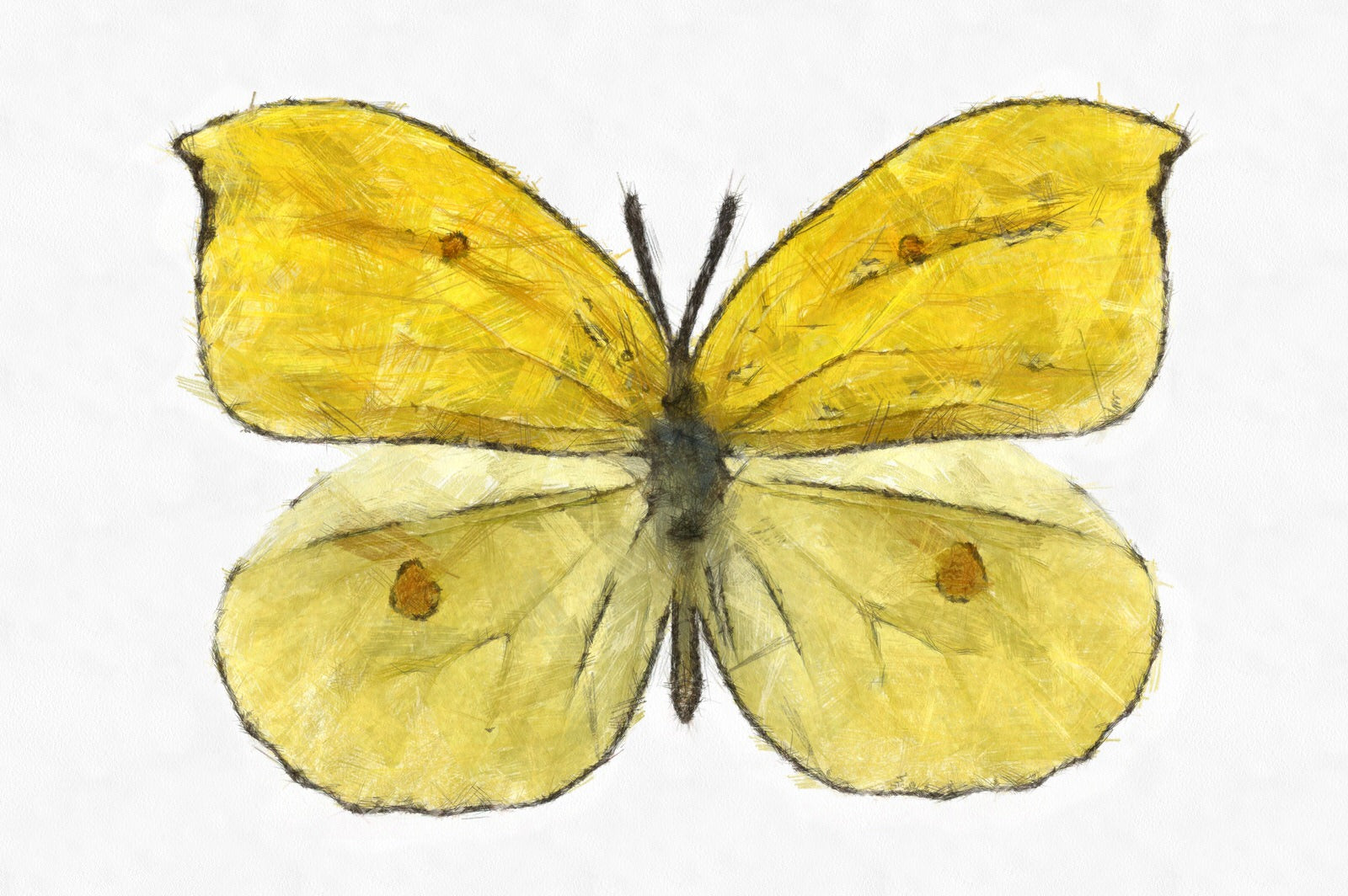 Butterfly Linen Canvas HD Print - Taiwanese Yamaki Chou